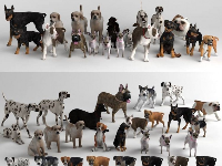 model dog,3dmax chó,đàn chó,3dmax con chó