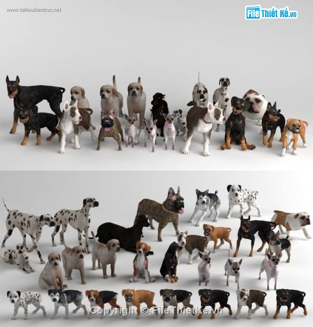 model dog,3dmax chó,đàn chó,3dmax con chó