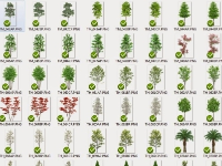 400 MB Thư viện Photoshop cây - dạng PNG (bản đẹp)
