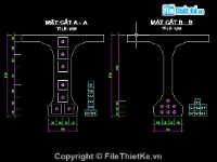 Bản vẽ bố trí cốt thép dự ứng lực trong dầm BTCT mặt cắt chữ T