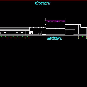 Bản vẽ cad kiến trúc nhà văn hóa( mẫu 1)