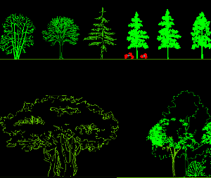 Bản vẽ cad mô hình cây xanh đa dạng phong phú