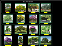 bản vẽ công viên,bản vẽ công viên cây xanh,bản vẽ cad công viên,thiết kế công viên,bản vẽ cảnh quan,công viên đô thị