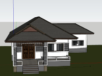 Biệt thự 1 tầng 11x20m model sketchup