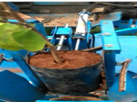 Đồ án tốt nghiệp thiết kế máy trồng cây cao su – đầy đủ bản vẽ và tài liệu kỹ thuật