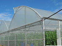 Nhà màng trồng rau sạch,rau công nghệ cao,rau an toàn,Dự án nhà màng,Thiết kế nhà lưới