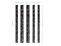 File cnc mẫu trúc thiết kế đẹp nhất