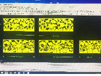 File dxf Lan can CNC hoa sen tuyệt đẹp