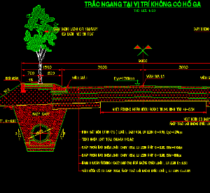 Trắc ngang mẫu đường nội bộ rộng 9m