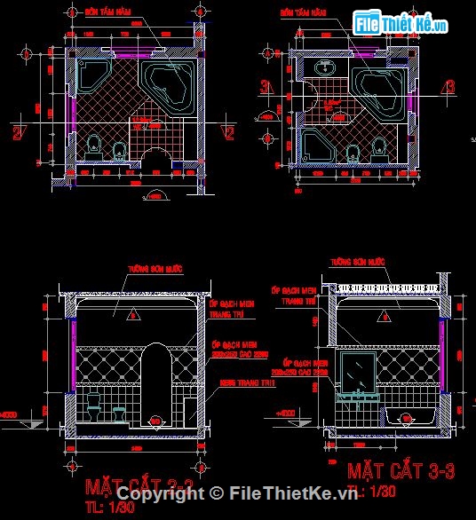 biệt thự 2.5 tầng,biệt thự 21x4.3m,biệt thự mái thái