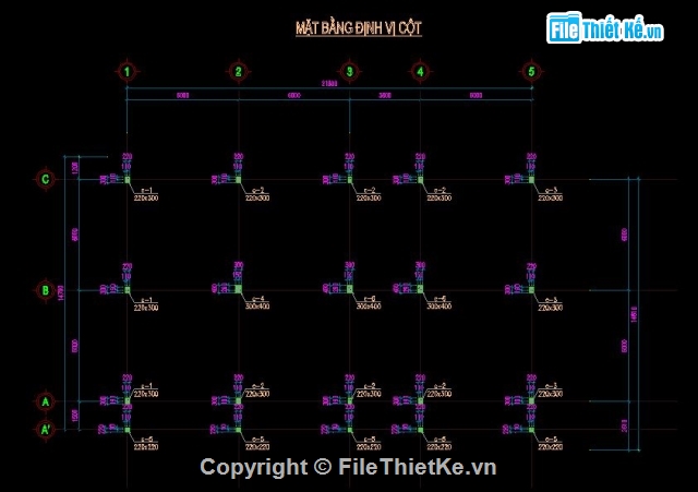 biệt thự 21.8x13.5m,biệt thự 2 tầng,mẫu nhà 2 tầng rộng