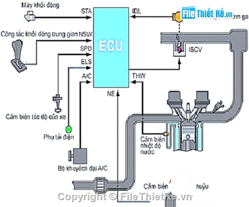 nghiên cứu,Đồ án,hệ thống động cơ 2AZ-FE trên xe Toyota