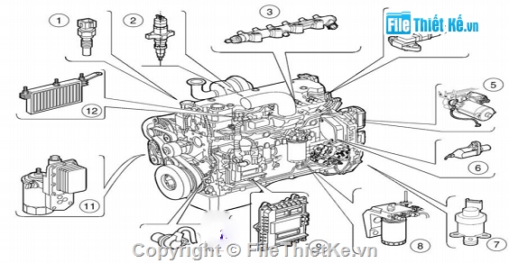 động cơ Phun Nhiên Liệu,Common Rail NEF 667 TA,đồ án ô tô