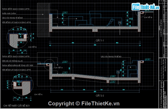 Biệt Thự 2 tầng,Biệt Thự 2 tầng 13.8x21.1m,CAD biệt thự 2 tầng có hồ bơi,Mẫu biệt thự có hồ bơi