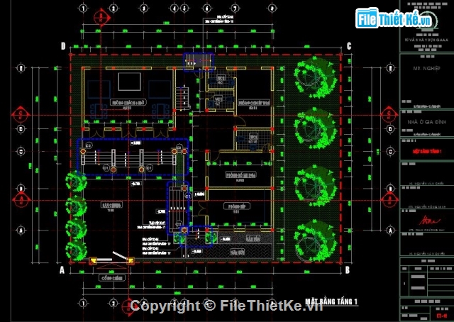 nhà biệt thự,biệt thự 2 tầng,2 tầng 16.8x17.3m,biệt thự tân cổ điển 2 tầng