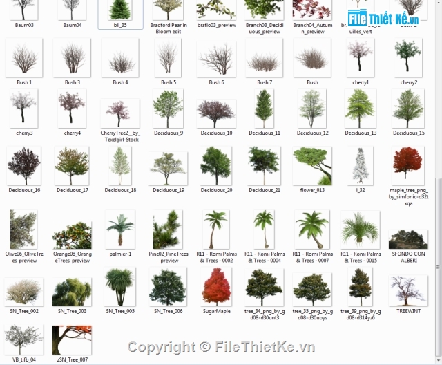 cây xanh,thư viện PNG cây xanh,thư viện ô tô,thư viện hoa,tổng hợp các loại cây xanh,tổng hợp ô tô