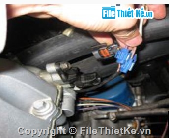 carmanscan,chandoandongco,dongcohyundai