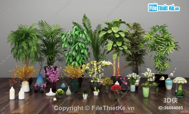 THƯ VIỆN CÂY CẢNH,THƯ VIỆN CAY XANH,CÂY XANH TRANG TRÍ,THƯ VIỆN CÂY,HOA CÂY CẢNH