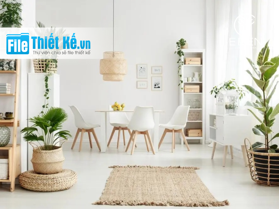 Cây cảnh, vị trí đặt cây cảnh, đặt cây cảnh sinh tài lộc, đặt cây trong nhà