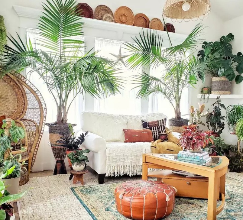 không gian phòng khách, phòng khách đẹp, trang trí cây xanh phòng khách