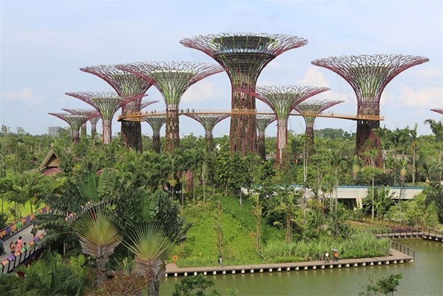 Chiến dịch biến Singapore thành công viên khổng lồ công viên, khổng lồ,singapore