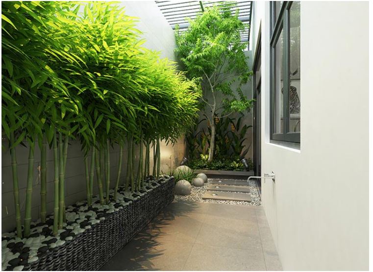 7 nguyên tắc cơ bản để thiết kế cảnh quan sân vườn đẹp thiết kế cảnh quan sân vườn, 8 nguyên tắc thiết kế sân vườn, thiết kế sân vườn