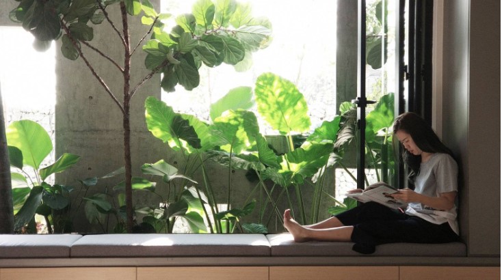 nhà nhiều cửa sổ, làm mát tự nhiên, bẫy nhiệt mùa hè, thiết kế nhà thông thoáng