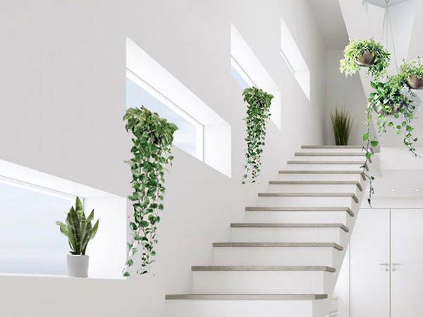 nhà diện tích nhỏ, biến nhỏ thành rộng, bản vẽ nhà diện tích nhỏ, kích thước nhỏ.