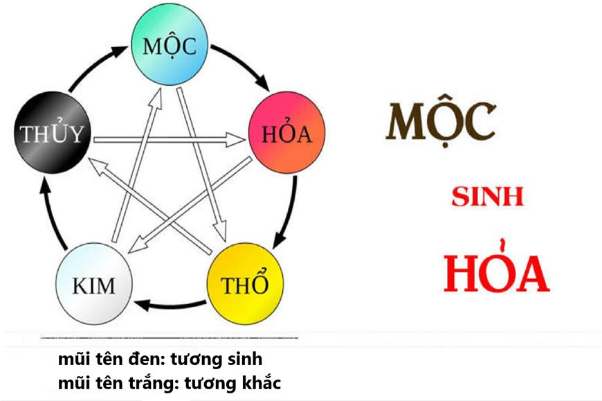 Phong Thủy Xây Nhà Cho Người Mệnh Mộc Năm 2025 xây nhà, phong thủy xây nhà, phong thủy xây nhà mệnh Mộc, phong thủy mệnh Mộc