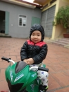 Đỗ Ngọc Hiệu