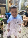 Thanh Đỗ - Thanh Đỗ